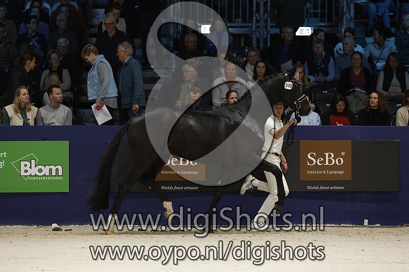 Ritmo De La Noche v. Ferguson - 349