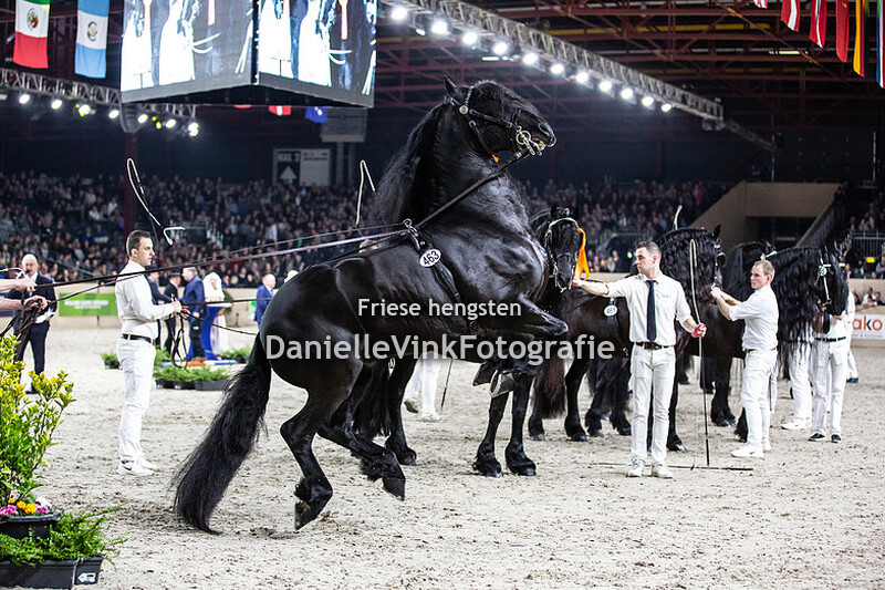 Hengstenkeuring 2020 Wylster 463