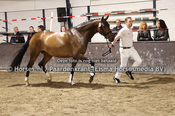 44 Promosa (Governor x Samorka v. Cavalier)