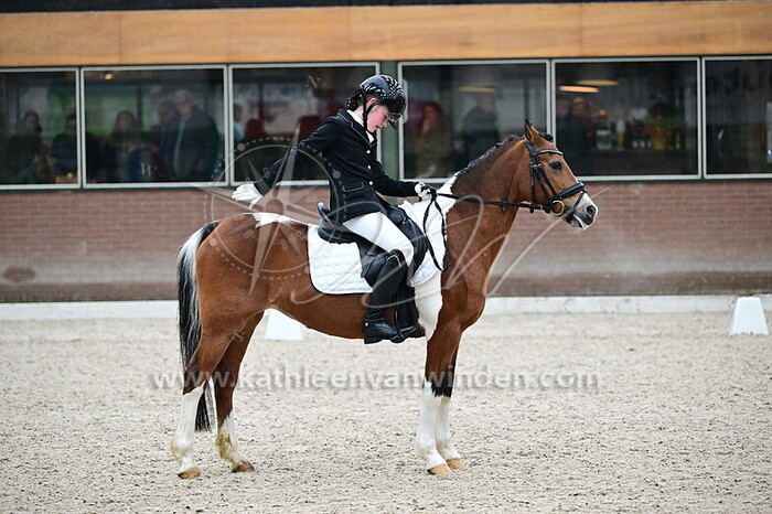 Sophie Schroder - Chinook v.d. Robinshoeve