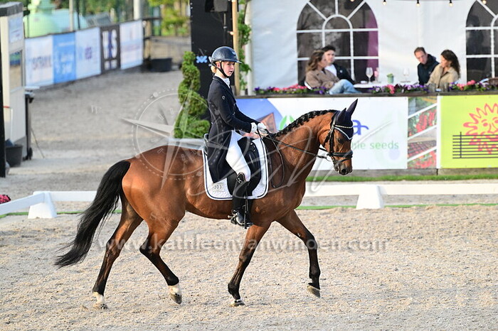 Noah de Bruijn - Duke Sinclair