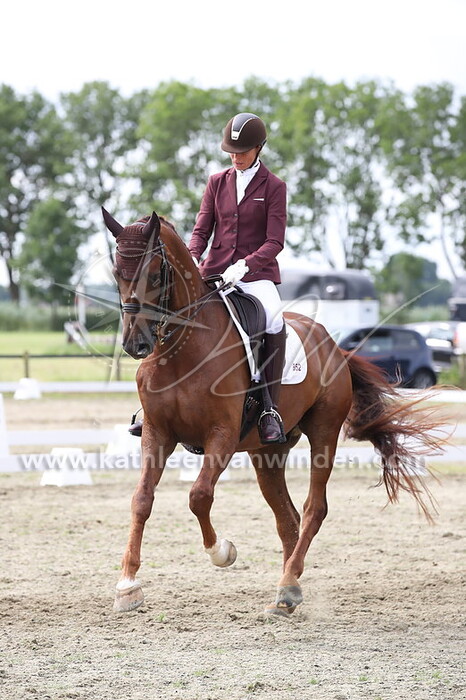 Jolanda van der Voort - Planken