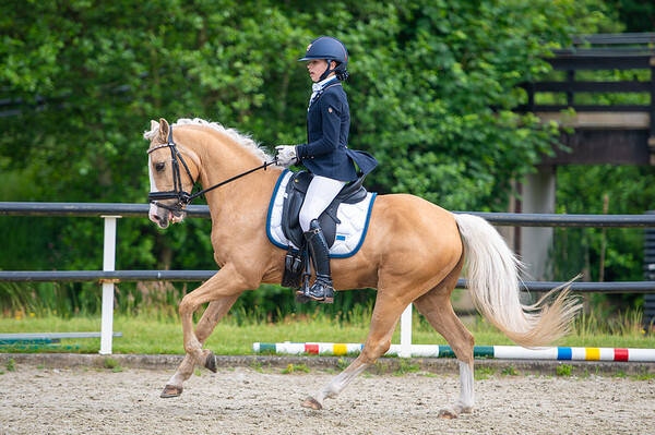 Welsh Sportdag Noord