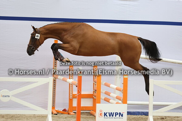 86 Sabarella (Mindset ES x Barbarella v. Indoctro)