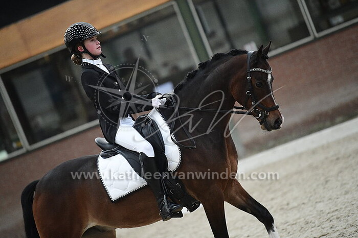 Rosanne van Marle - Mr. Darcy