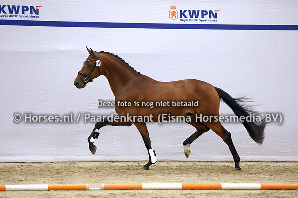 09-12-25 HK 1e bez Dressuur Dag 1