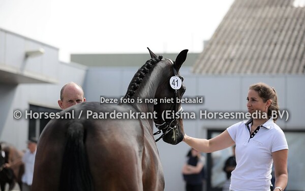 41 Nickole Turfhorst (Foer Romance x Roxanne v. Ferro)