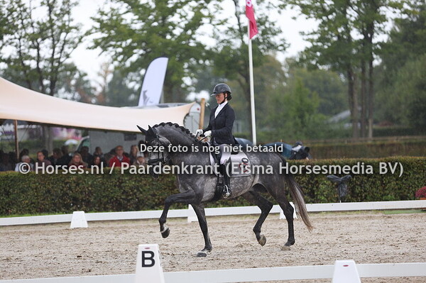 Hexagons Power Dutch