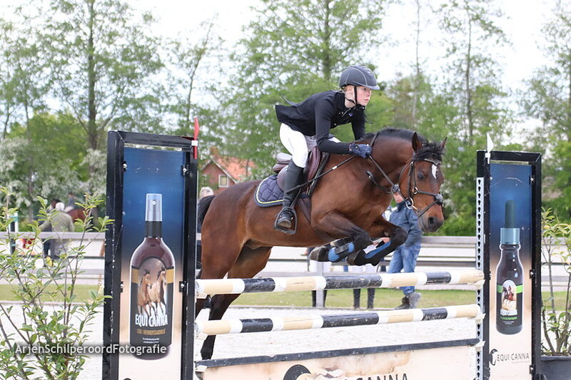 Tolbert 16-05-2019 Pony's