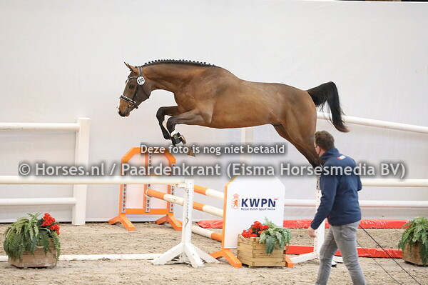 114 Heathrow x Cavalier