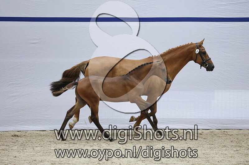 Varuso H v. Baltic VDL