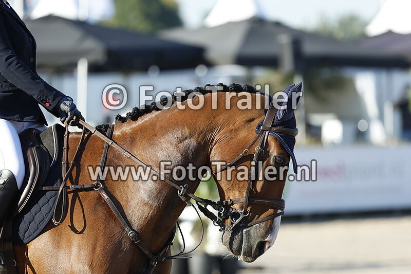 puck van den deijssel