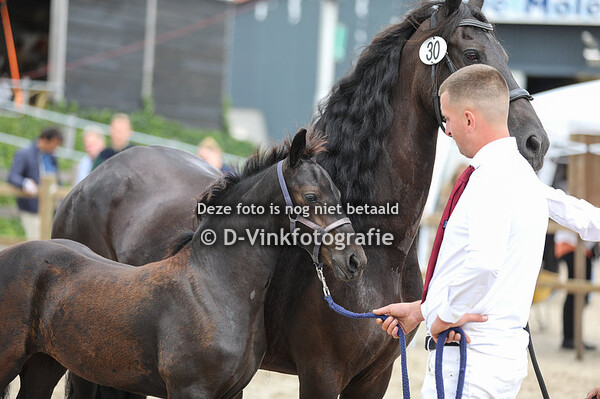 30. Zelma van Rijsingen