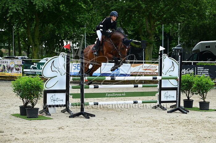 Nadine Assal - Happy Road