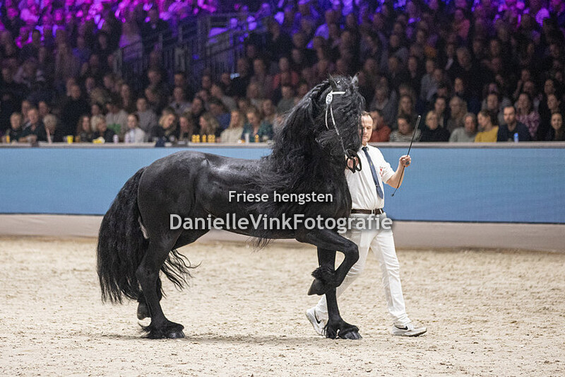 Hengstenkeuring 2024 Hilbrand 525