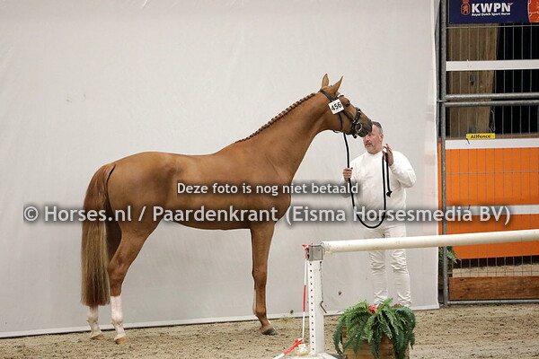 30-11-2020 1e bez KWPN dressuur