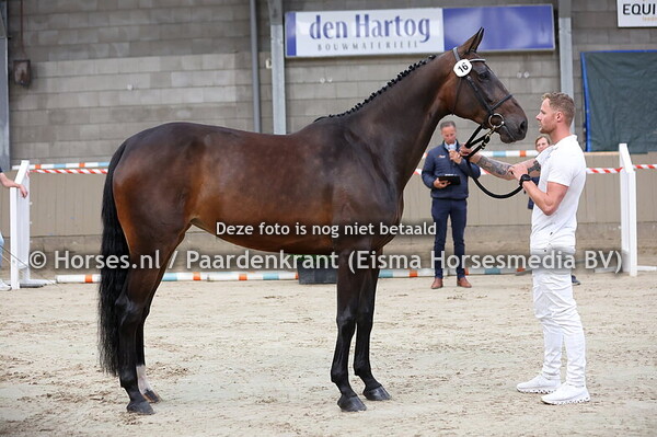 16 Veleine (Vannan x Anneleine v.UB40)