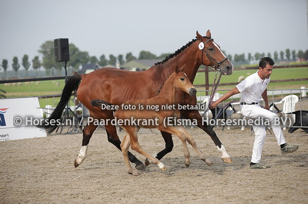 6 Raylita (Idrigill x Zijlita-Bryolita v. Solitair)