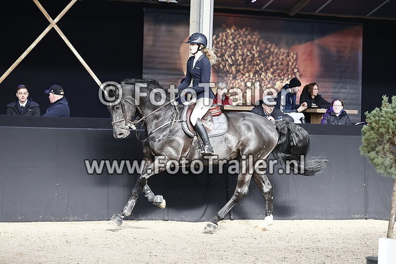 anke marije de vries