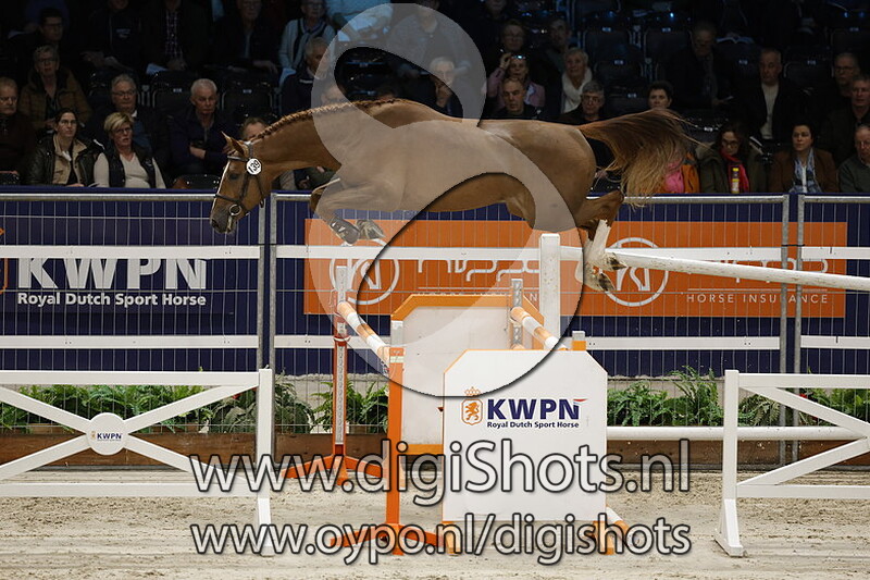 Resoluut S.a. v. Pegase Van 't Ruytershof - 139