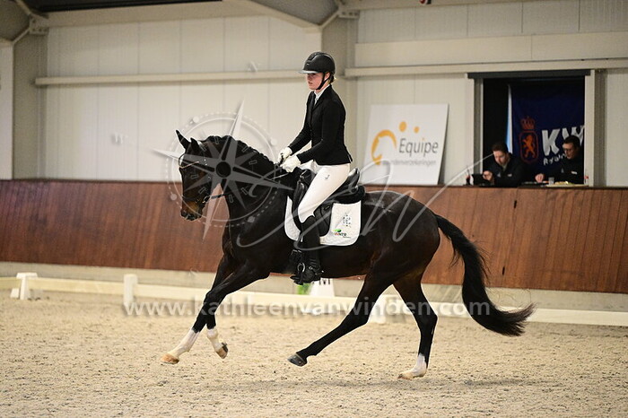 Denise van de Guchte - Shining Bella