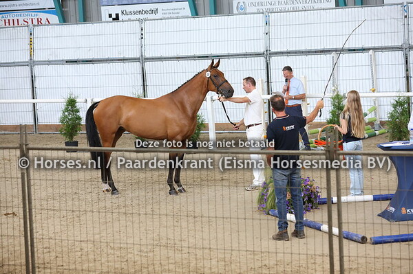 60 Cest Chery VDL (Chacco Blue x Becherry v.Stakkato)