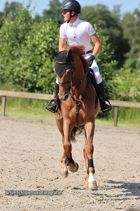 CH Boijl 29-06-2022 80cm