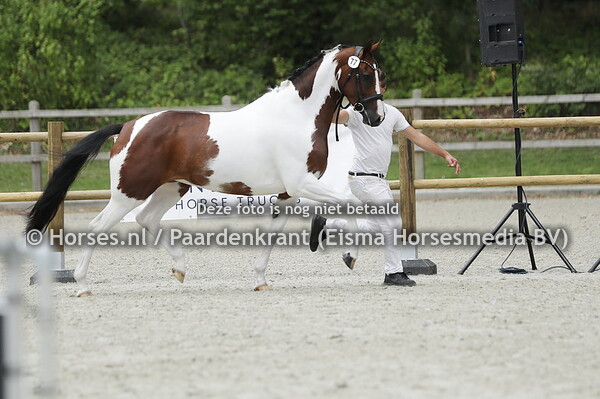 77 N'Oublie de Couleur (Incognito x Everest Femmes de Couleur