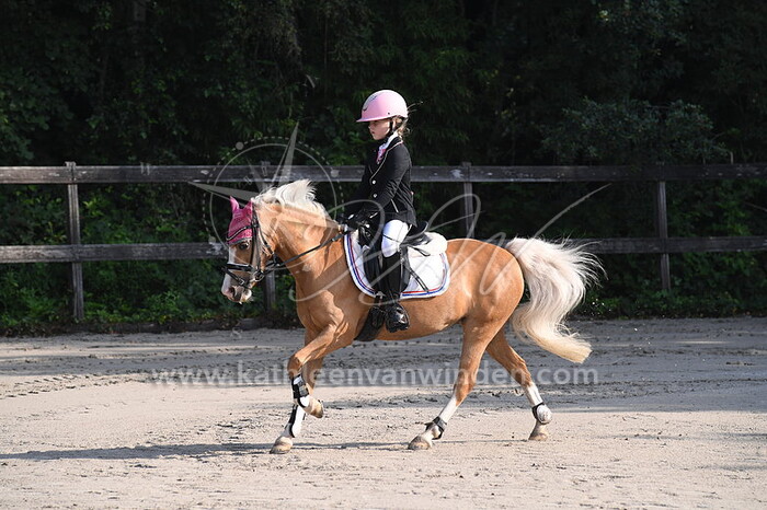 Klasse BB pony's