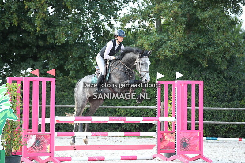 Stal Groenendaal Springen Paarden 26-08-2025 100 cm