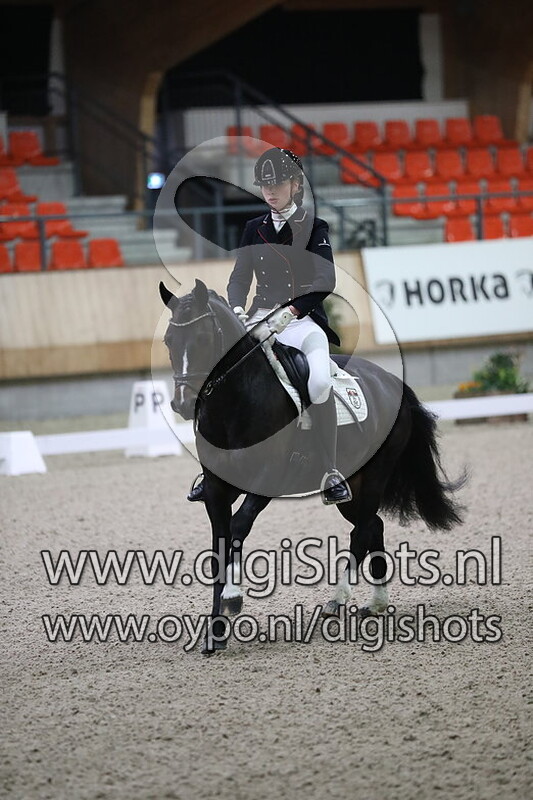 Oki doki van het Rozendaelhof