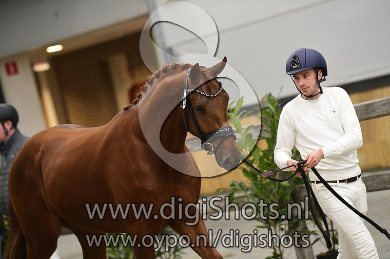 Red Rock v. Mowgli V.o.d. - 488