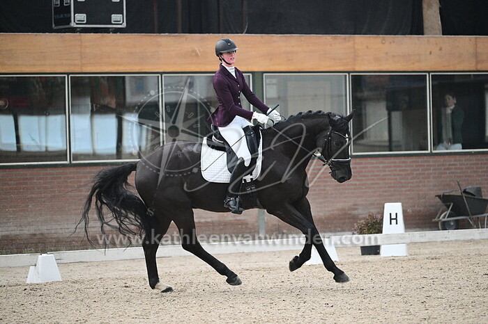 Jantine Vernooij - Pure Pleasure