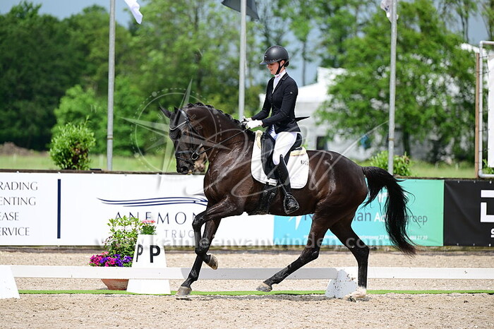 Thalia Rockx - Prima Donna K de la Fazenda