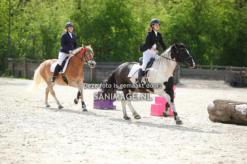 PV Midland Haflingerwedstrijd 19-04-2025 Springen