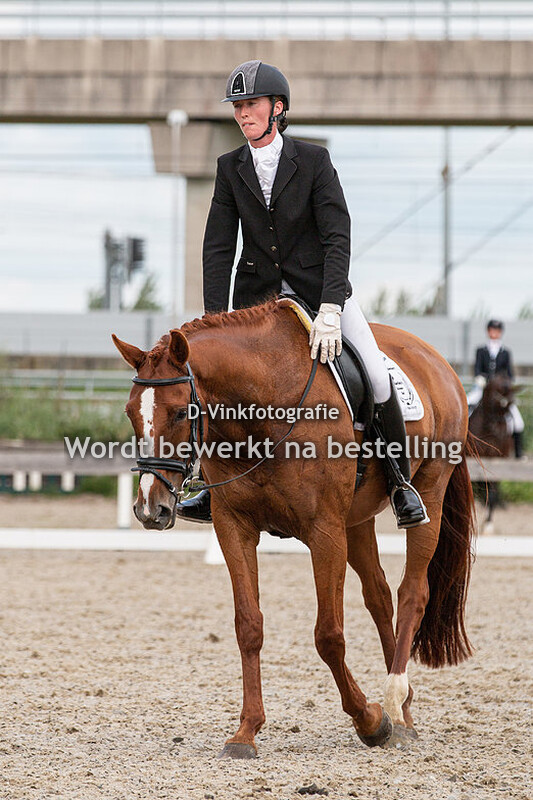 Renee Dol - Elesterrica