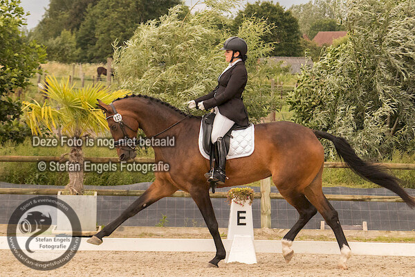 2017-07-23 Euregio dressuurcup M&M