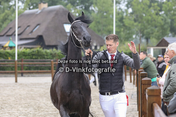 72. Rimkje fan Tekla State