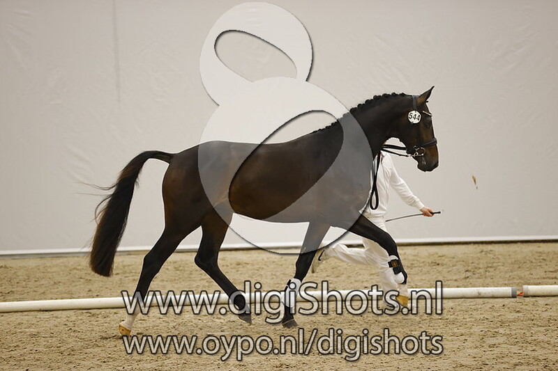 Nashville STH v. Rubin Royal