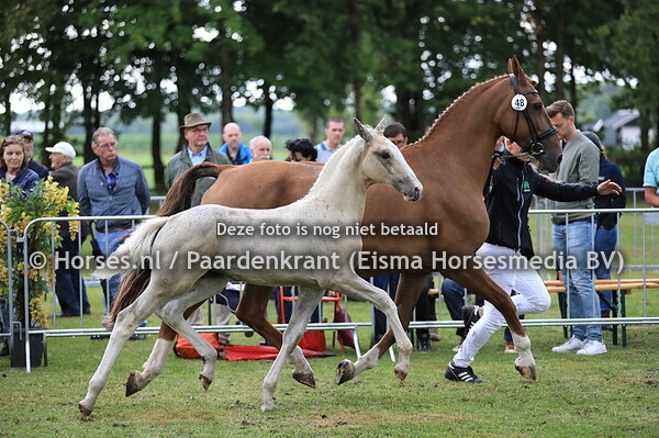 48 Og3ene VB v Edmundo