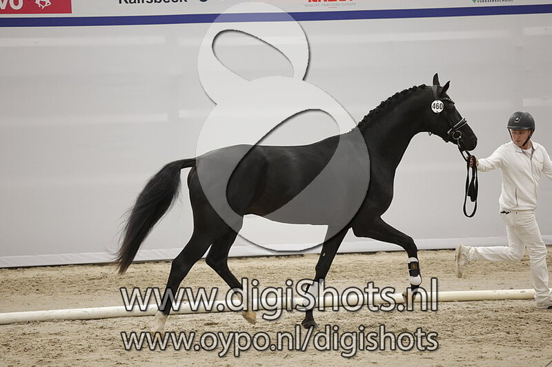 Paparazzi v. Kremlin - 460