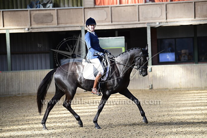 Danielle van der Veen