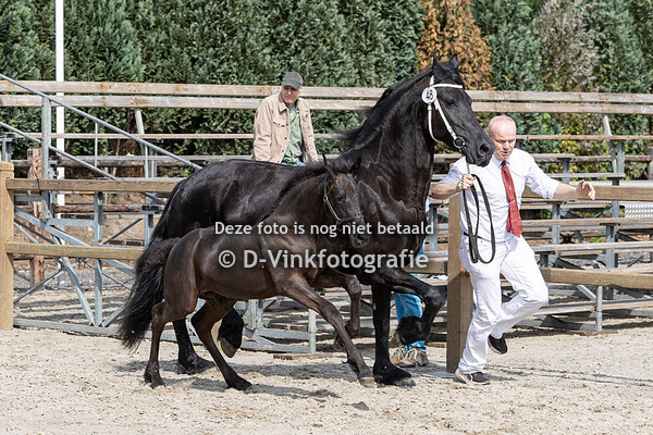 48. DieMans van Dynamis