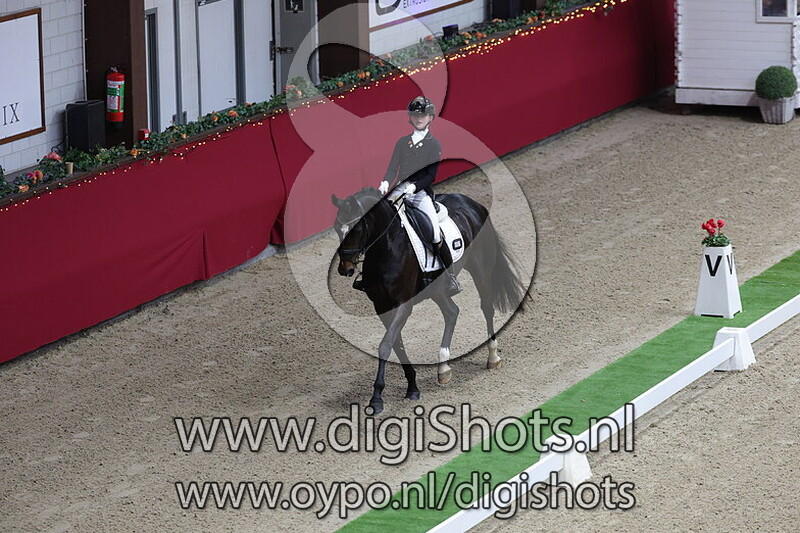 Ogami van het Beukenhof