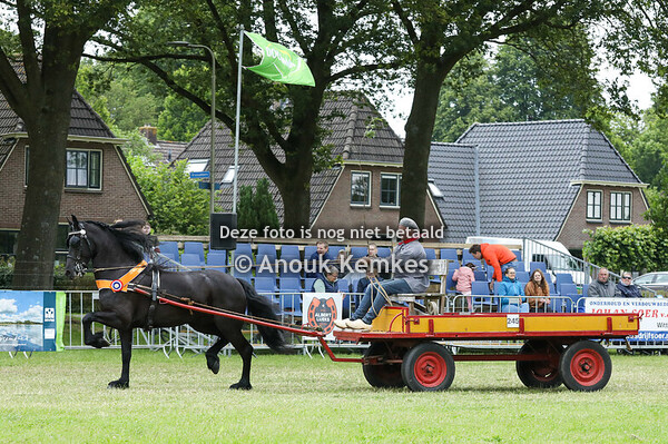 Huldiging Kampioenen