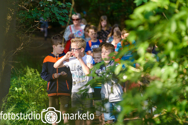 Avondvierdaagse Markelo 2019 - Dag 4 kösterskoele