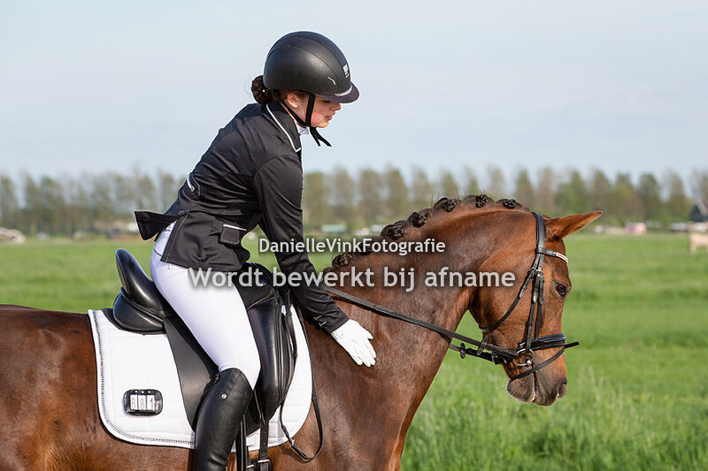 Minke den Hollander - Ivy