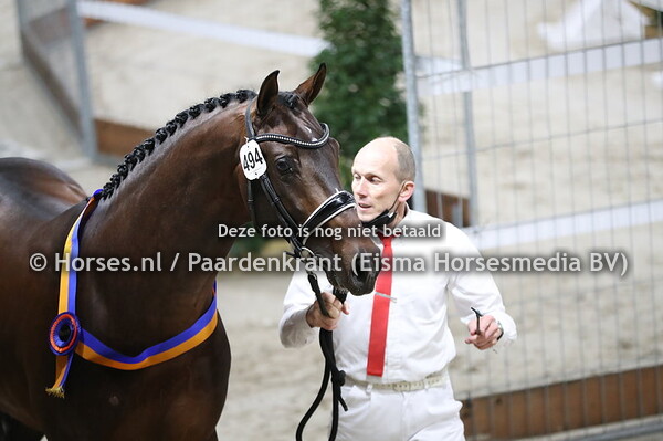 05-02-2021 KWPN HK 2021 Dressuur