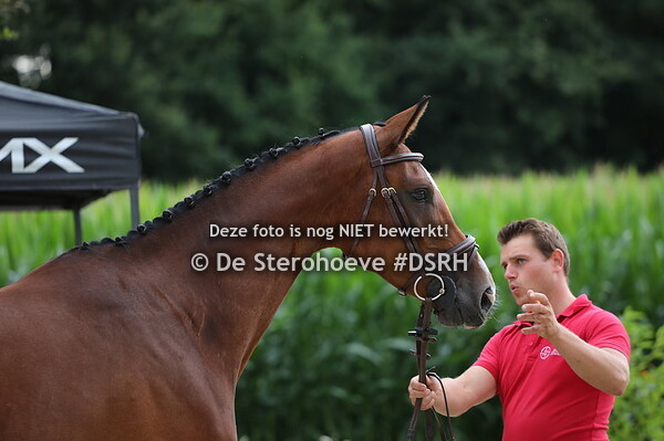 merries 6j en ouder springen