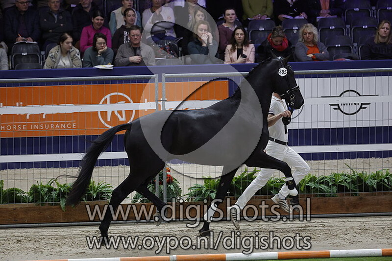 Patchi Glock's Toto Jr 385